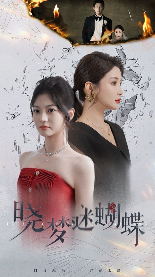 晓梦迷蝴蝶封面