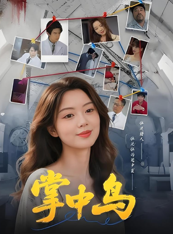 掌中鸟封面