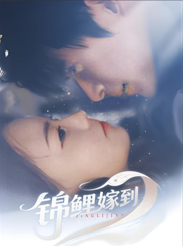 锦鲤嫁到封面