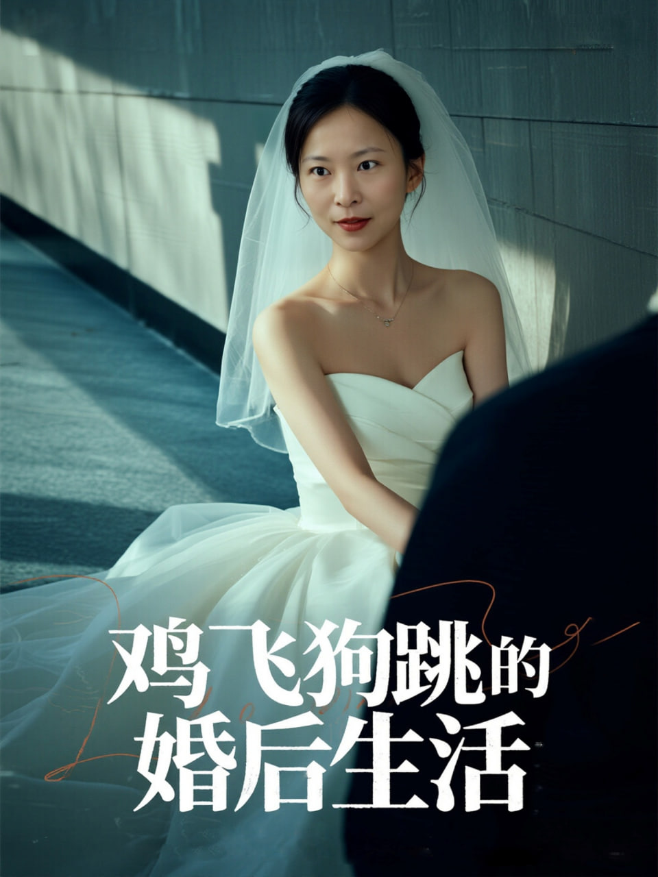 鸡飞狗跳的婚后生活封面