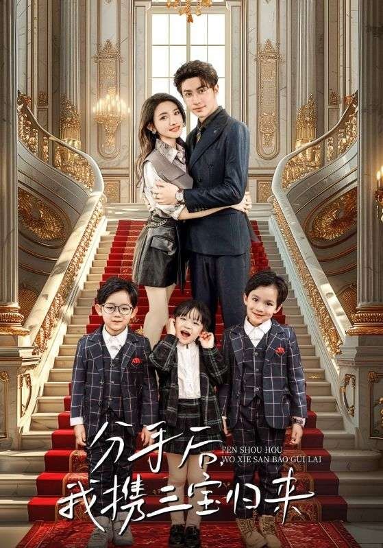 分手后，我携三宝归来封面