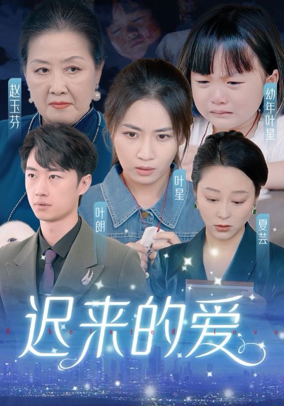 迟来的爱（天上的星星不说话）封面