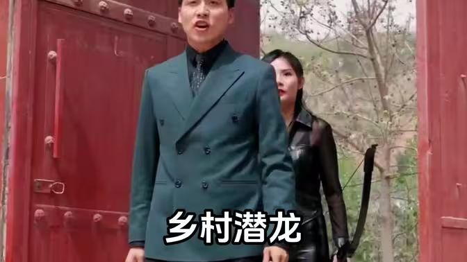 乡村潜龙封面
