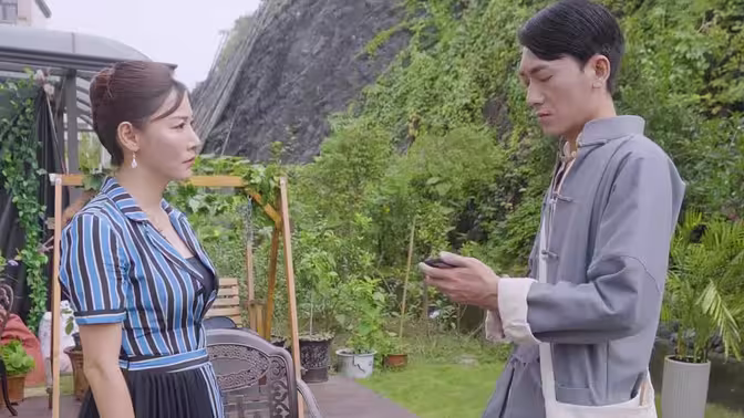仙婿封面