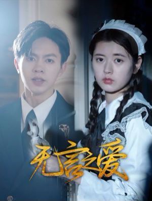 无言之爱封面