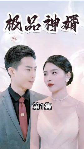极品神婿封面