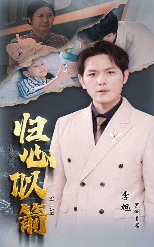 归心似箭封面