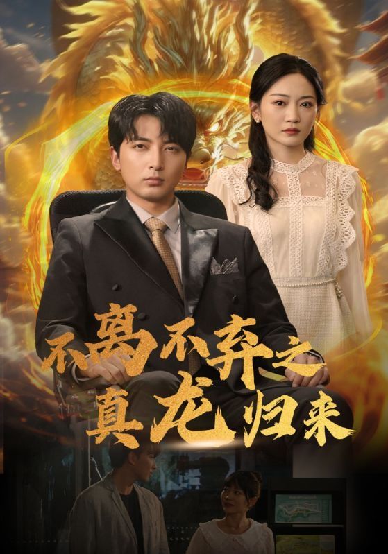 不离不弃之真龙归来封面