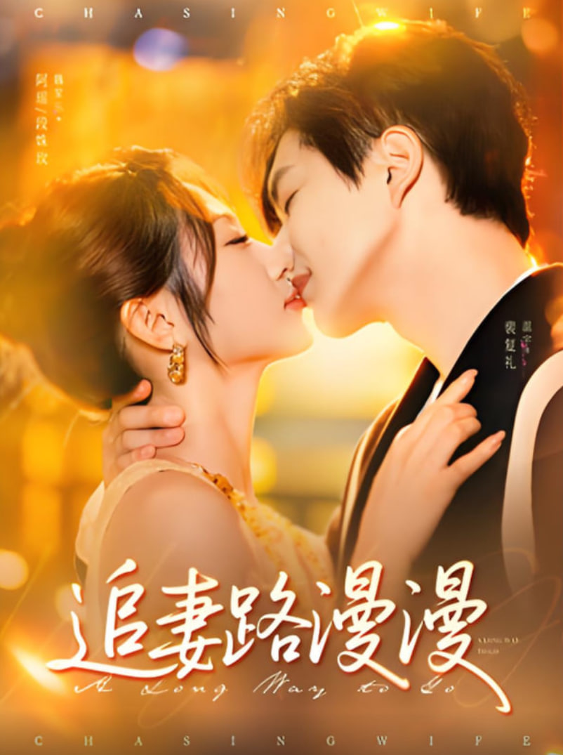 追妻路漫漫封面