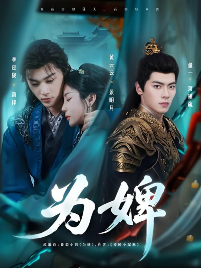 为婢封面