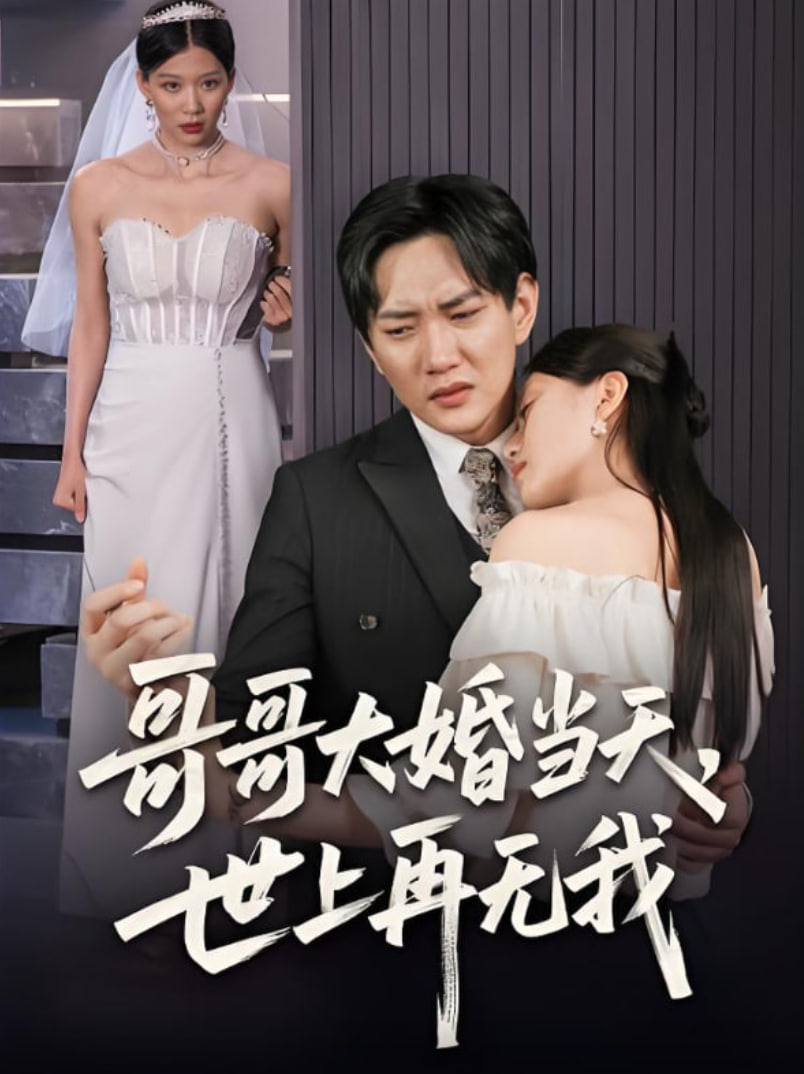 哥哥大婚当天世上再无我封面