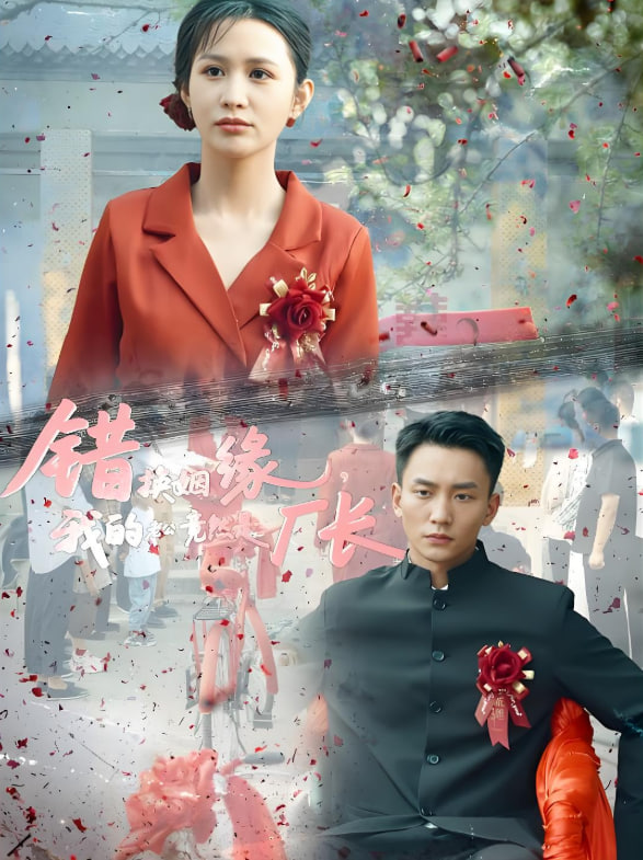 错换姻缘，我的老公竟然是厂长封面