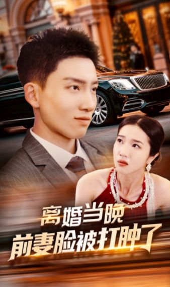 离婚当晚前妻脸被打肿了封面