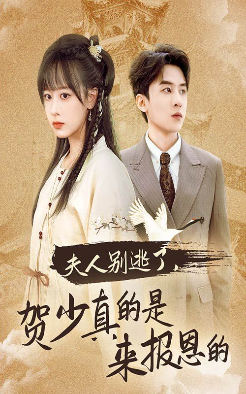夫人别逃了贺少真的是来报恩的封面