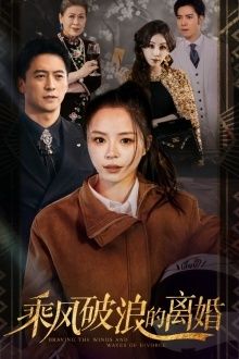 乘风破浪的离婚（大小姐她不装了）封面