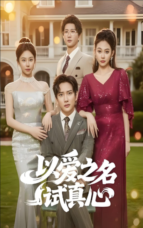 以爱之名试真心封面