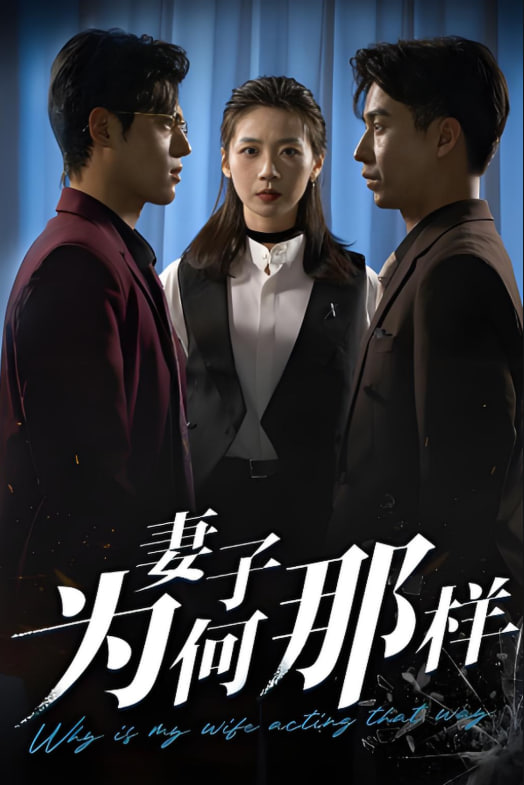 妻子为何那样封面