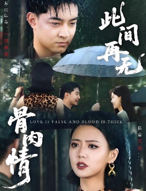 此间再无骨肉情封面
