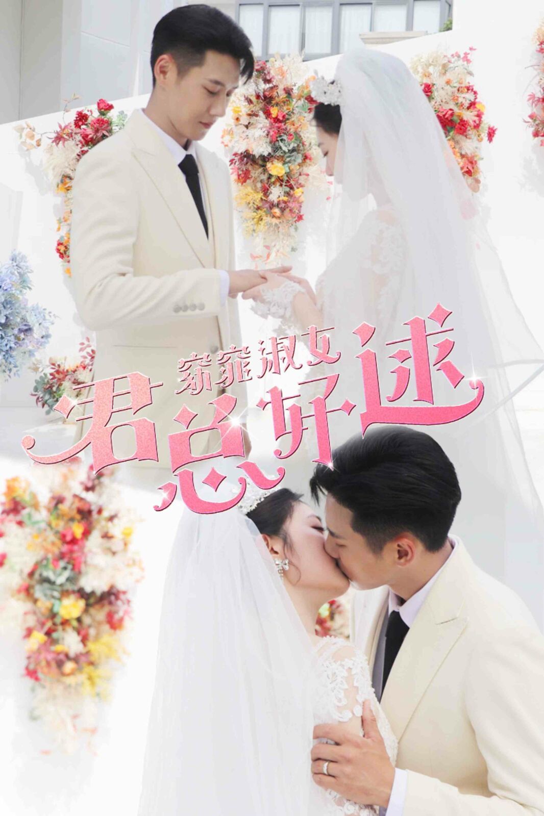 窈窕淑女君总好逑封面