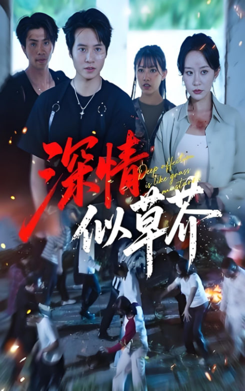 深情似草芥封面