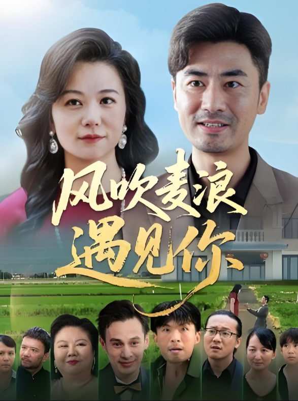 风吹麦浪遇见你封面