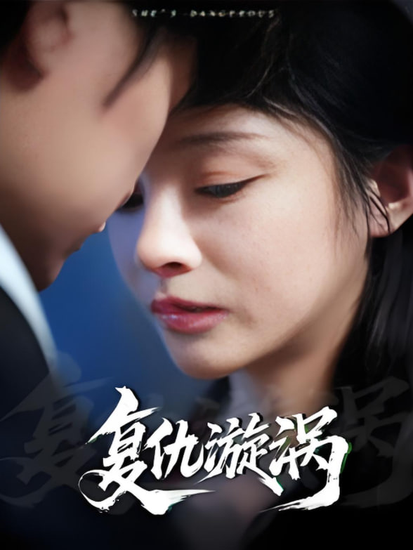 复仇漩涡封面