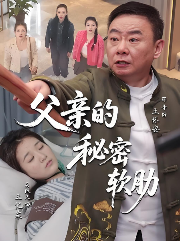 父亲的秘密软肋封面