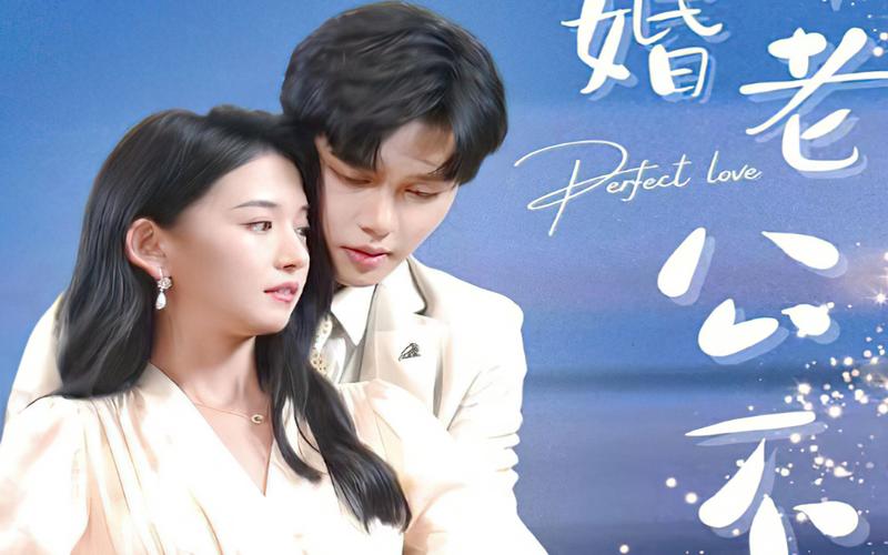 新婚老公不简单封面