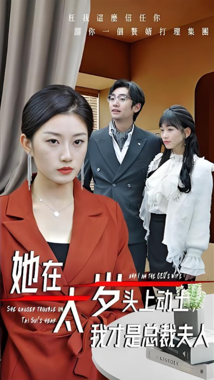 她在太岁头上动土，我才是总裁夫人封面