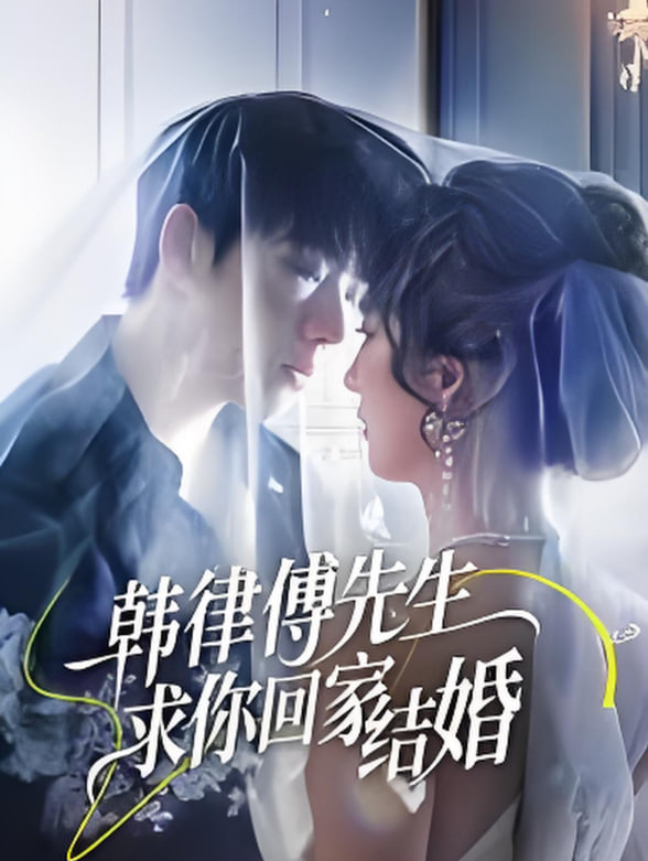 韩律傅先生求你回家结婚封面