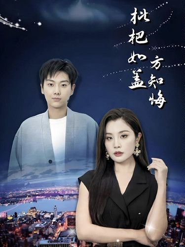 枇杷如盖方知悔封面