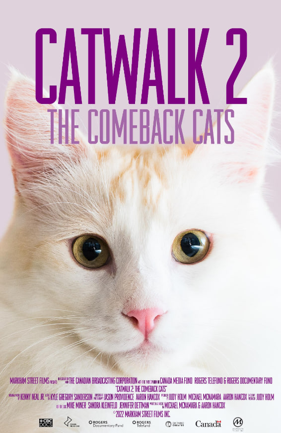 《猫步2：回归的猫》封面