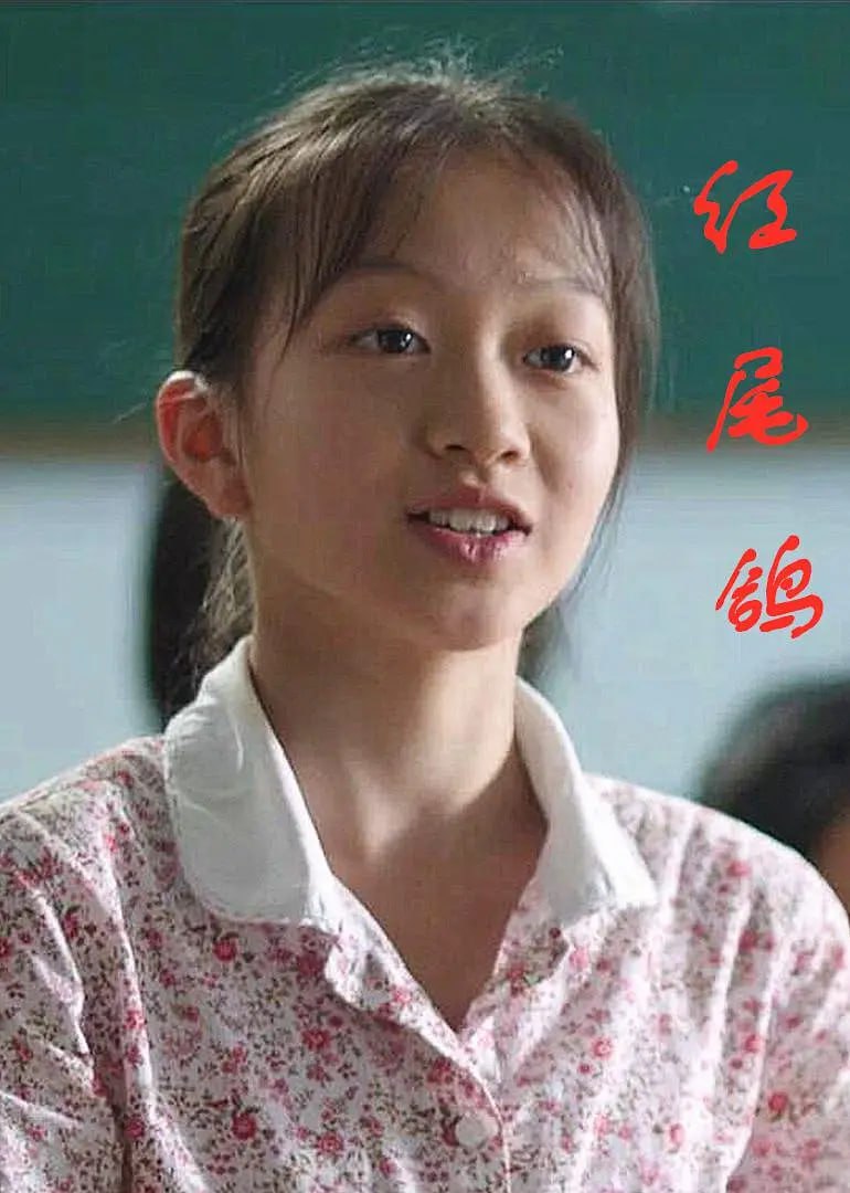 红尾鸽封面