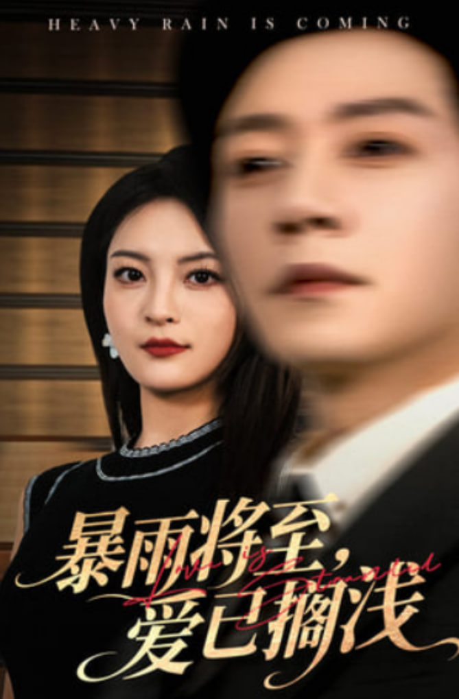 暴雨将至爱已搁浅封面
