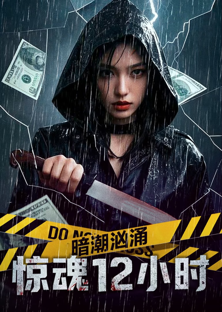 暗潮汹涌之惊魂12小时封面