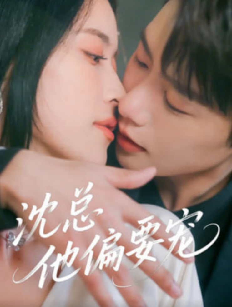 沈总他偏要宠封面