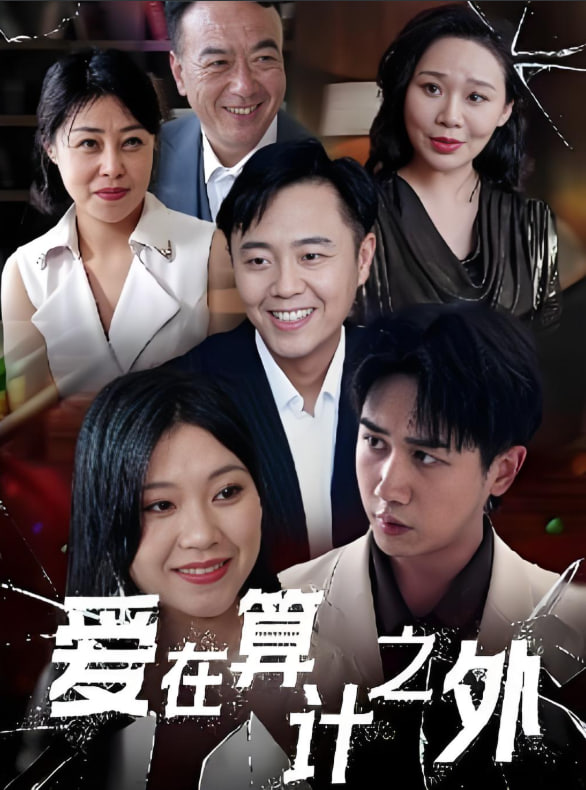 爱在算计之外封面