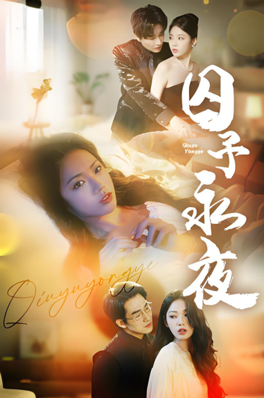 囚予永夜封面