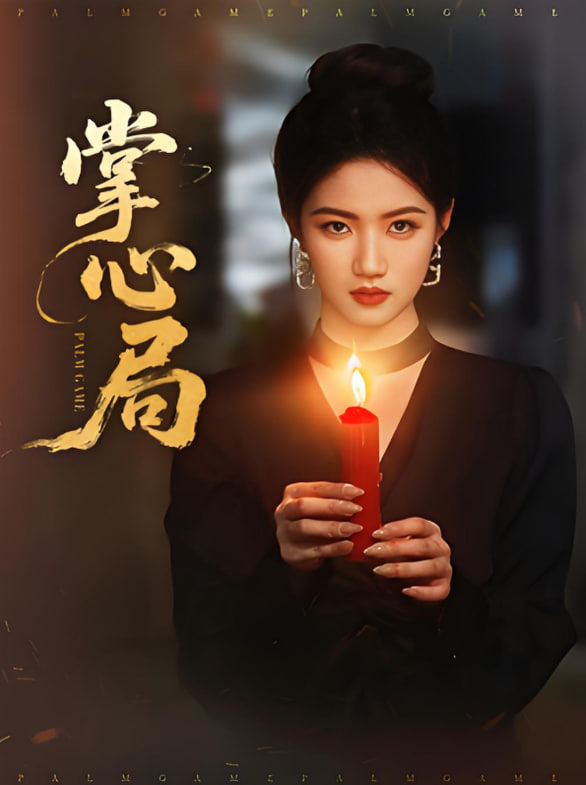 掌心局封面
