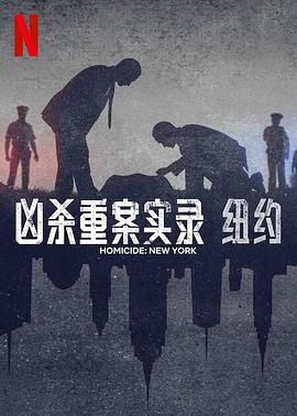 凶杀重案实录：纽约封面