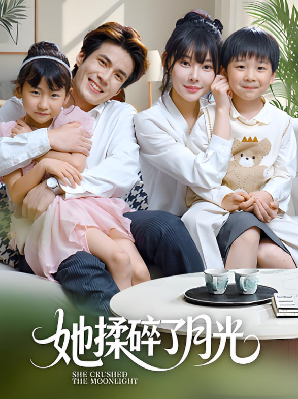 她揉碎了月光封面