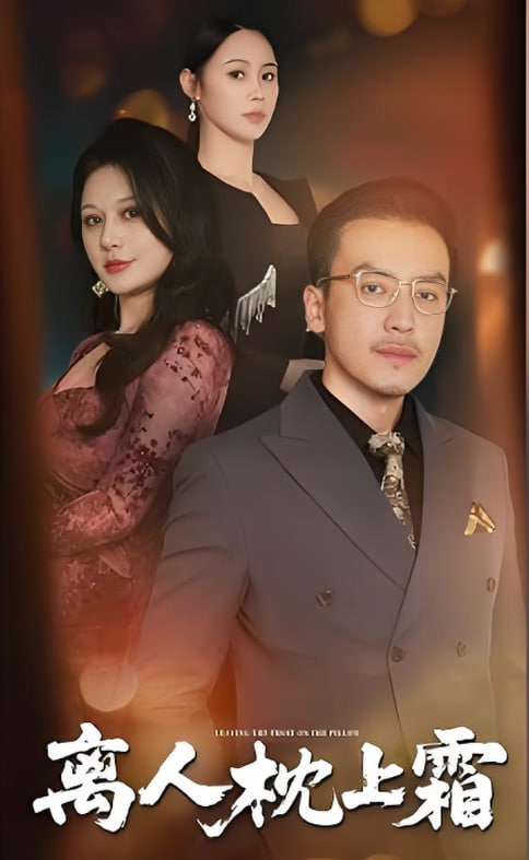 离人枕上霜封面