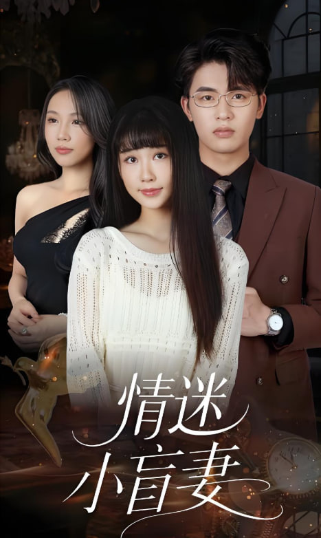情迷小盲妻封面