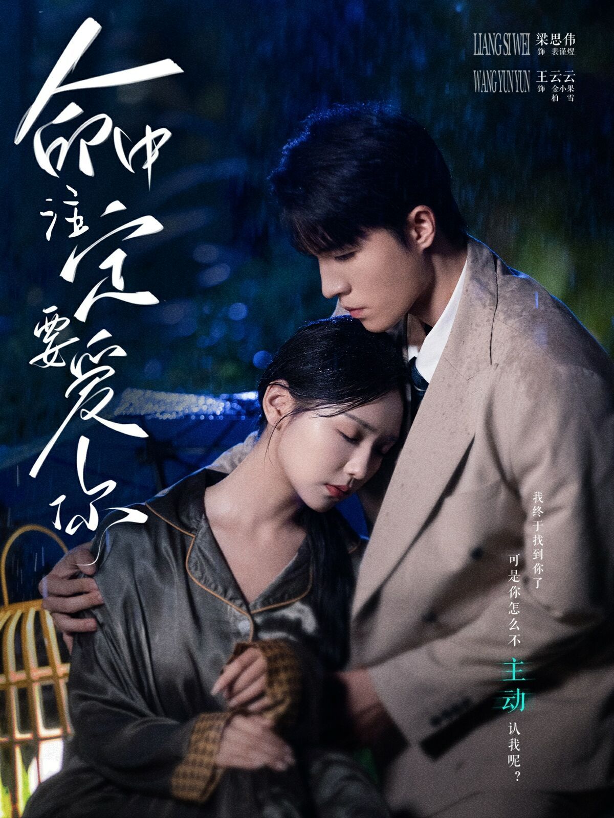 命中注定要爱你封面
