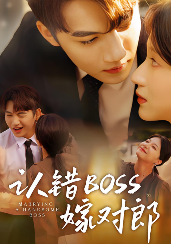 认错boss嫁对郎封面