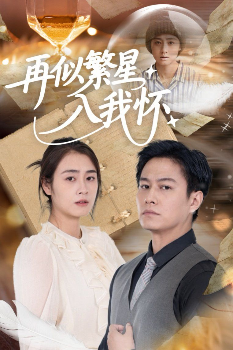再似繁星入我怀封面