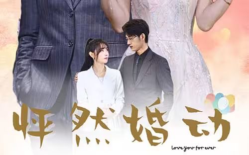 怦然婚动封面