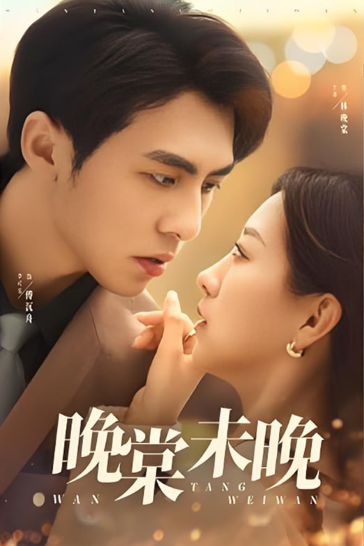 晚棠未晚封面