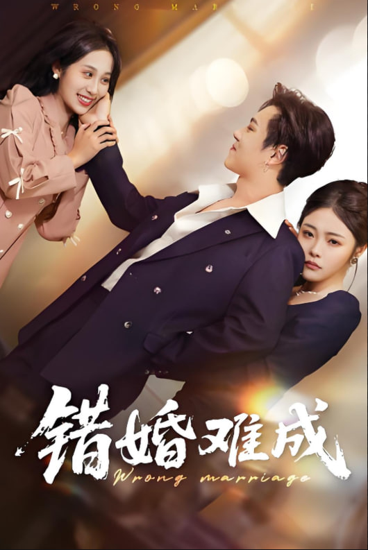 错婚难成封面