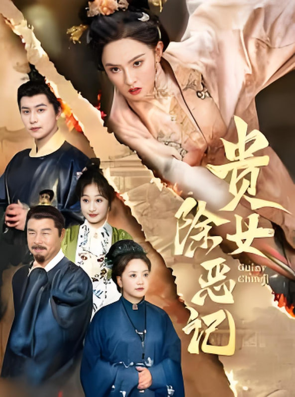 贵女除恶记封面
